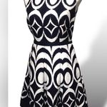 The Limited  A line Pleated Drop Waist Dress With Pockets Photo 0