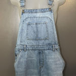 Wild Fable Overalls Womens Large Light Wash Denim Bib Distressed Ripped Jeans Photo 0