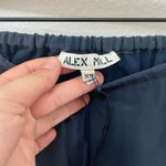 Alex Mill Silk Slip Skirt Navy Women’s Size XS NWT Luxe Minimal Blue Photo 3