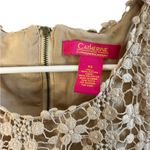 Catherine Malandrino Coldwater Creek Beige Lace Sleeveless Top Photo 2