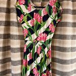 Lilly Pulitzer Lily Pulitzer Blue And White Lotus Flower Frog‎ Dress Size. XS Photo 0