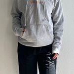 Independent Vintage Grey “Our World” Hoodie Photo 0