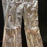 Wild Fable silver pants Photo 1
