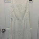 White House | Black Market Dress Photo 0