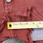 Treasure & Bond  Distressed Cutoff Rust Shorts 31 Photo 1