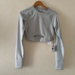 Beach Riot Francine Silver Shine Crop Top Women’s Long Sleeve Activewear Yoga Photo 5