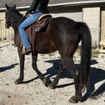 Wrangler Jeans Photo 6