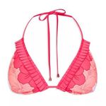 Ted Baker NWT  bikini top Photo 0