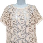 Loft Crochet Lace Paisley Cutout Sheer Overlay Blouse Top Ballet Pink Small Photo 4