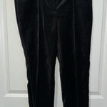 Loft  Velvet Dress Pants Size 8P NWT Photo 0