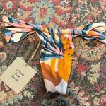 Stone Fox Swim  Bottom Photo 0