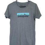 Patagonia Organic Cotton Gray Tee Women’s Casual Outdoor Hiking Shirt Size Small Photo 0