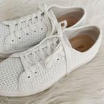 ON 34TH | White Lusille Woven Basketweave Lace Photo 3