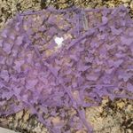 Purple Butterfly Women Swim Sarong Photo 0