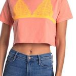 French Connection Lace bralette crop tee. S Photo 0