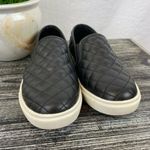 Steve Madden  Black & White Vegan Leather Eccentrcq Slip On Quilted Sneaker 7 Photo 3