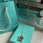 Tiffany & Co. Rare Elsa Peretti Sterling Silver Star Retired Necklace Pendant Photo 4