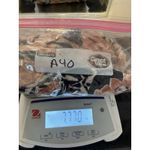 Billabong  Floral Kimono Coverup Black White Bohemian Beach Tie Waist‎ Resort Photo 10