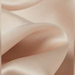 NWT Intimissimi Elegant Beige Silk Slip Size Small Photo 1