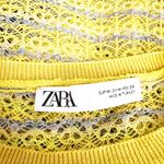 Zara Cotton Blend Crochet Knit Crew Neck Metallic Cropped Long Sleeve Sweater M Photo 1