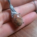 Cherry Creek Jasper Stainless Steel Pendant Necklace Photo 8
