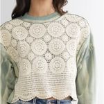 Buckle BKE Gimmicks Pieced Crochet Cropped Pullover Sweatshirt Size S Boho Chic Hippie Photo 3