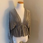 MIOU MUSE NWOT Plisse Dolman Sleeve Plunging V Neck Ruched Waist Top Medium Silver Photo 1