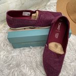 Toms New in Box Women’s Alpargata Holiday Look Ribbed Glitter Photo 0