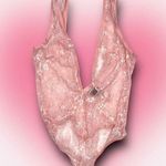 Victoria's Secret ★ Victoria’s Secret (NWT) Women’s Sexy Pink Bodysuit w/ A Thong ★ Photo 1