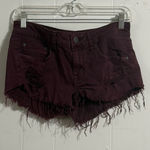 American Eagle  Outfitters Women's Dark Purple Jean Shorts Photo 0