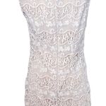 Belle Badgley Mischka Cream Lace Sleeveless Cocktail Dress Photo 2