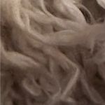 Free People Vintage Shaggy lined bomber Jacket sz small Photo 8