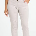 Charter Club Classic Fit Pants Cream w/White Pinstripe Size 6 Photo 0