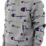Champion Men’s  Hoodie Grey Photo 0