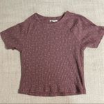 American Eagle  Cropped Short Sleeve Top Photo 5