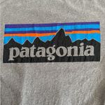 Patagonia Gray Short Sleeve Tee Classic Crew Neck Photo 3