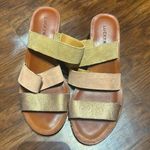 Lucky Brand Luck Brand Pink, Tan, Bronze Strapped Heel Sandal Photo 0
