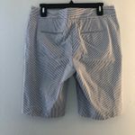 Ann Taylor Shorts Photo 9