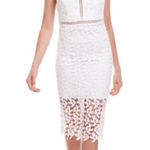 Bardot  NWT Lace Halter Midi‎ Dress Floral Occasion Party Cocktail Size 4 Photo 0