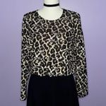 ZARA NWT Leopard Print Long Sleeve Knit Top Photo 0
