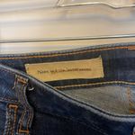 Pilcro and the Letterpress Anthropologie shorts Photo 2