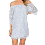 BB Dakota Lace Dress Photo 0