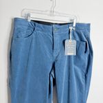Democracy NWT  Ab Solution High Rise Corduroy Pant Blue 18W Stretch Slimming Photo 4