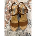 Steve Madden Luna Wooden Clog Ankle Strap Platform Y2K Heeled Sandals Size 8 Photo 1