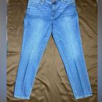 Talbots Classic Straight Leg Blue Women's Jeans Photo 0