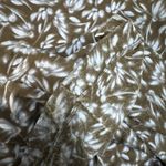 Madewell Drapey Pull On Knit Midi Skirt Dark Floral Print Women’s Size XS Photo 4