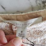 LC Lauren Conrad Shorts Size 8 Photo 3