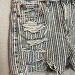 American Eagle  90s Boyfriend Distressed Striped Short Size 4 Photo 1