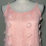 &merci &merci women’s size medium keyhole back Swiss dot dress lined light blush pink Photo 4