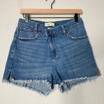 Abercrombie & Fitch Curve Love The Mom Short High Rise 26 Blue Criss Cross Waist Photo 0